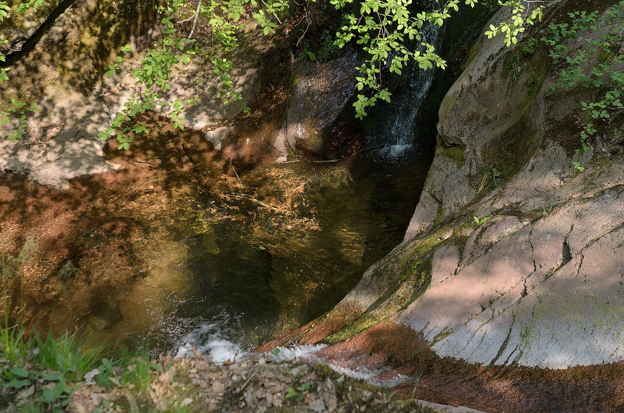 Sous-bois sur le parcours de Paradis