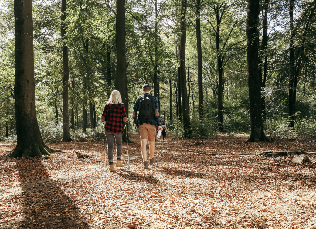 Randonnée en forêt ardennaise