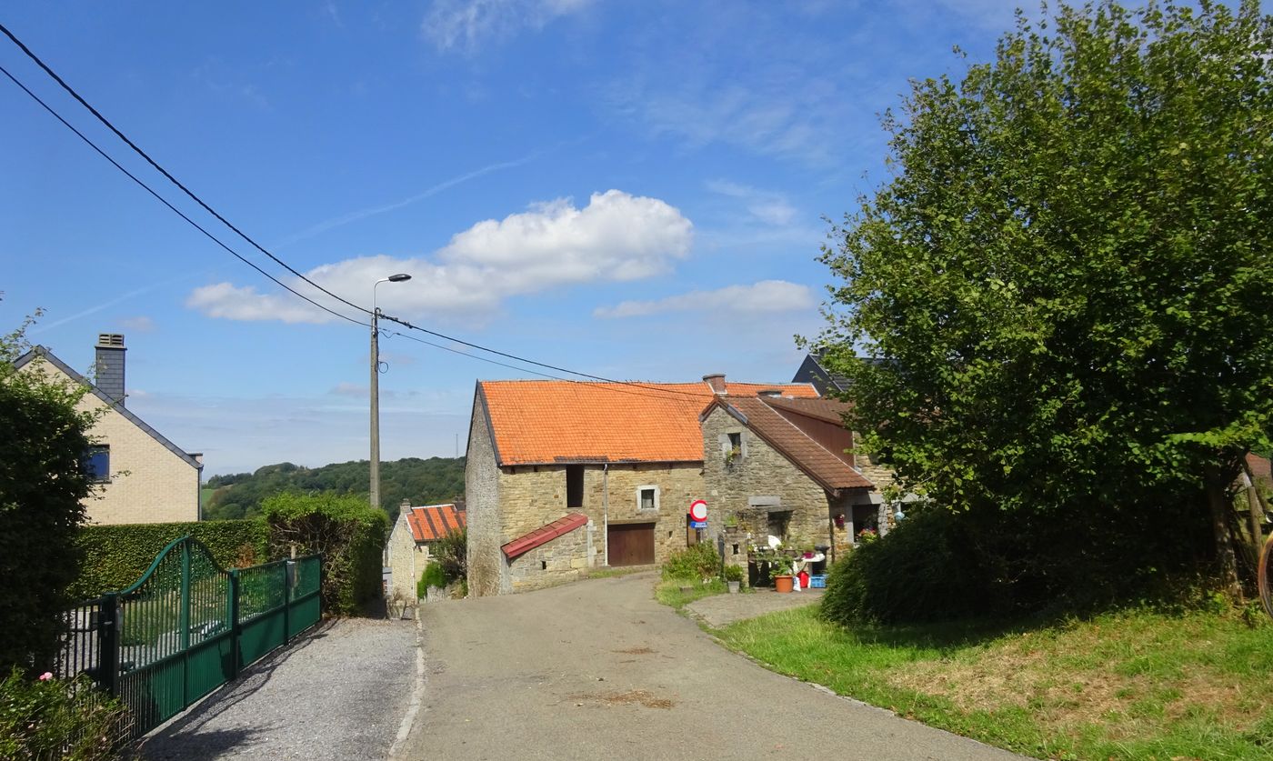 Sur la Heid, plateau traversé par le circuit VTT