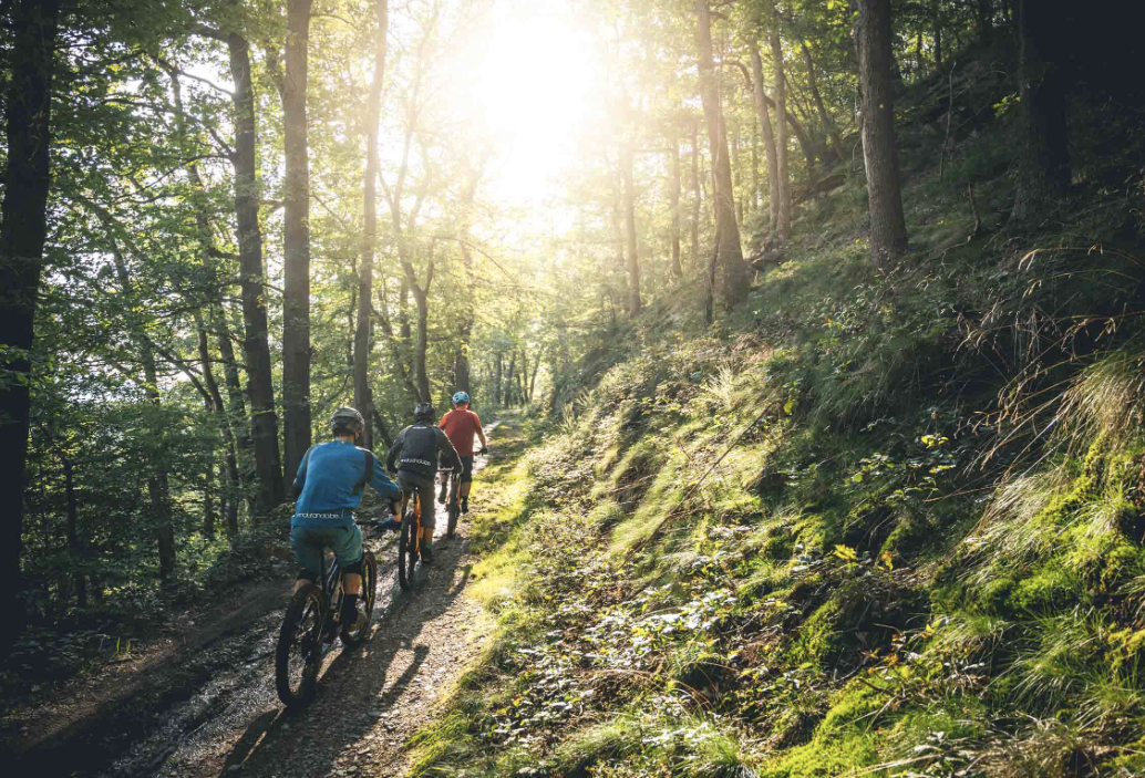 VTT en forêt ardennaise
